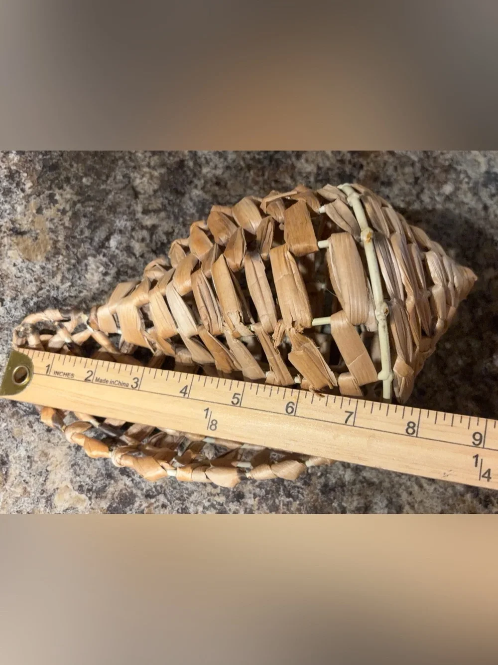 Vintage Conch Seashell Woven Basket on Wire Frame